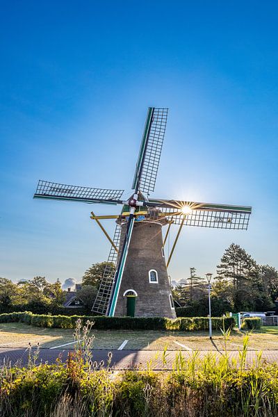 Windmühle Weltevreden in Domburg (stehend) von Danny Bastiaanse