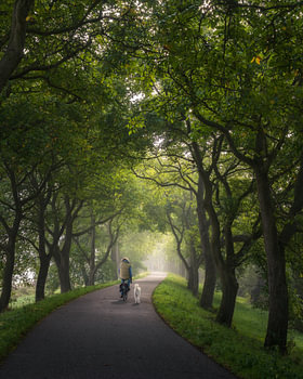 Het bos in met schattige vriend