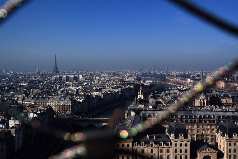 Paris by Erik Reijnders