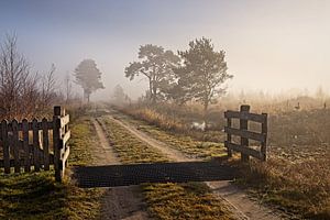 Groote Peel National Park