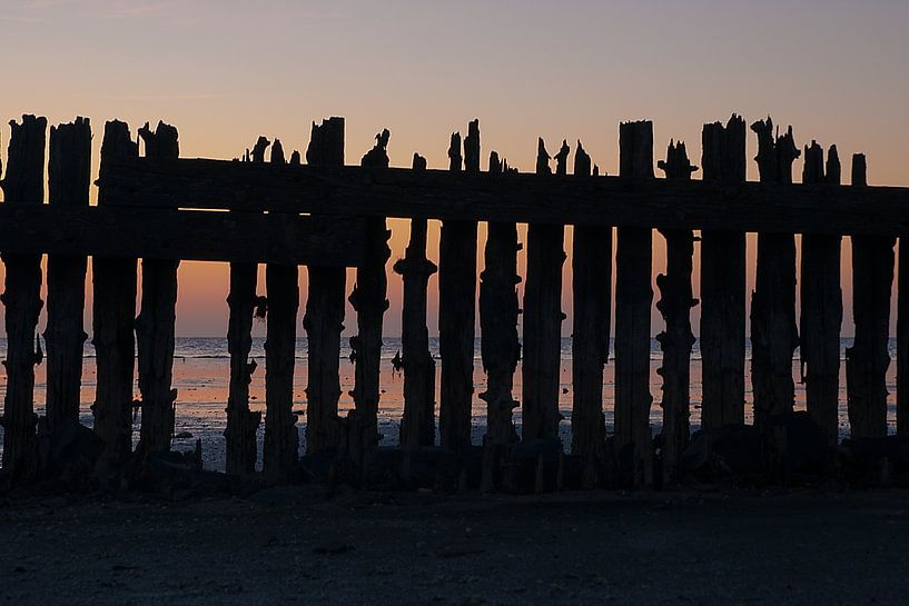 Fence van Douwe Schut