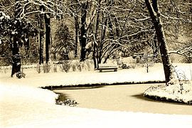 Winter scenery in a park