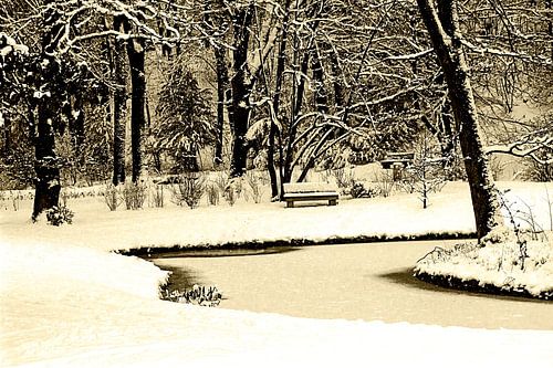 Winter scenery in a park