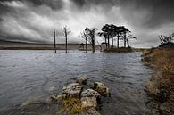 Dramatisch zicht op Schots loch met bomen in het water van Rob IJsselstein thumbnail