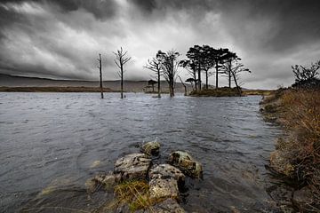 Dramatic view of Scottish loch with trees in the water