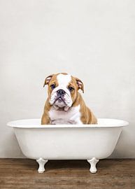 Bulldog In Bathtub - Funny Dogs Bathroom Humor by Diana van Tankeren