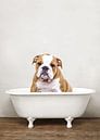 Buldog In Badkuip - Honden Badkamer Humor van Diana van Tankeren thumbnail