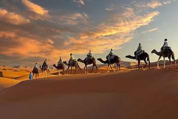 Caravane de chameaux dans le désert du Sahara au Maroc au coucher du soleil sur Eye on You