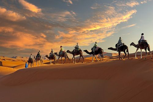 Kamelen karavaan door de Sahara desert in Morocco bij zonsondergang