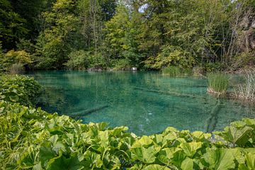 Plitvice Lakes nationaal park in centrum van Kroatie