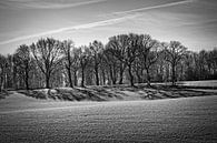 Bomen in Harles (Heuvelland, Zuid-Limburg) van Rob Boon thumbnail