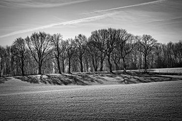 Bomen in Harles (Heuvelland, Zuid-Limburg) van Rob Boon