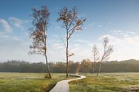 Vlonderpad in de winter