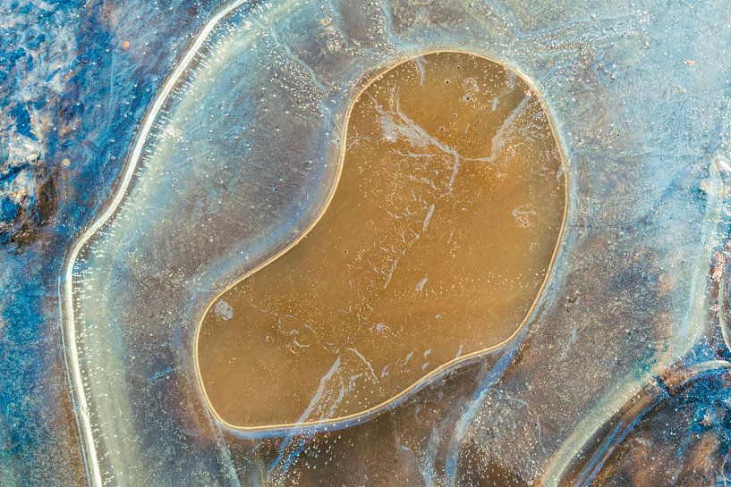 Abstract from Nature #7 by Fred Schuch