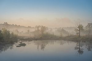Fine art landschap van een mistige zonsopkomst aan het water