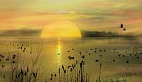 Light mood on the lake
