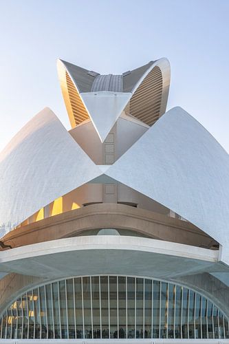 Les Arts Valencia tijdens zonsondergang