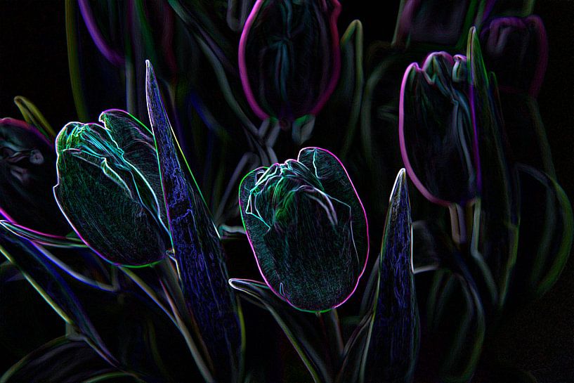tulpen in lijnenspel van Frank Janssen