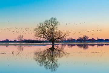 Elbtalaue Inondations sur Sven-Erik Arndt
