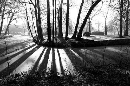 Sun and shadow lines