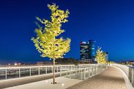 Le pont Moreelse, Utrecht la nuit par John Verbruggen Aperçu