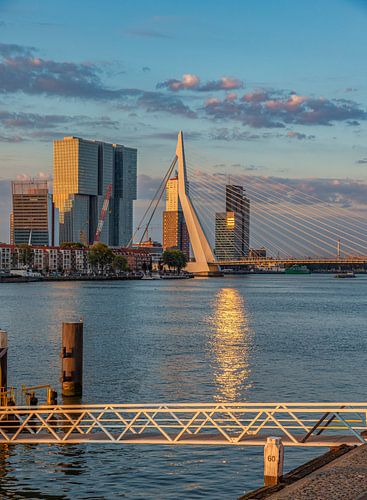 Zonsopkomst bij de Erasmusbrug in Rotterdam