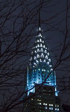 Shining through the night von Fabian Bosman