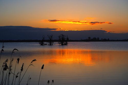 Zonsopkomst boven De Leyen
