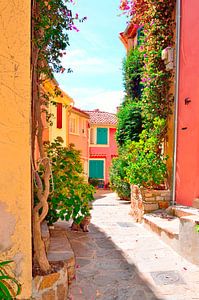 Spätsommer in Bormes Les Mimosas, Provence von 7Horses Photography