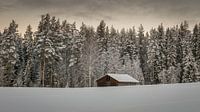 Verlaten schuur in de sneeuw