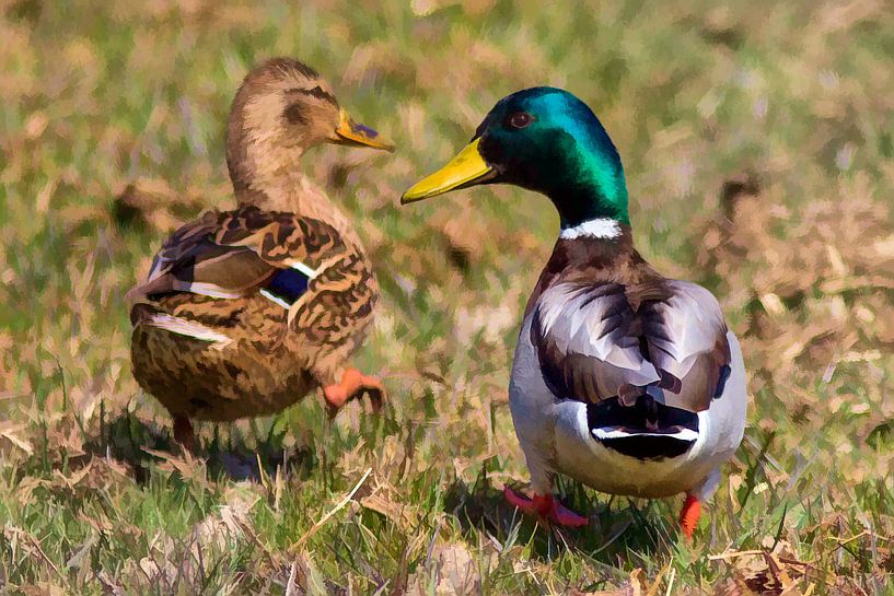 Wilde eenden aan de wandel von Michiel Leegerstee