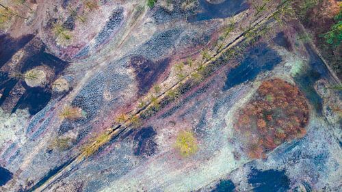 Het pad in het natuurgebied de Bunt vormt een diagonaal