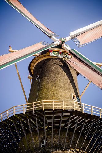 A mill in Schiedam