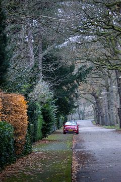 Fiat 500 van Sebastian Stef