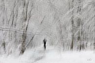 Loper in Winters Ertbrugge bos van Ingrid Van Damme fotografie thumbnail