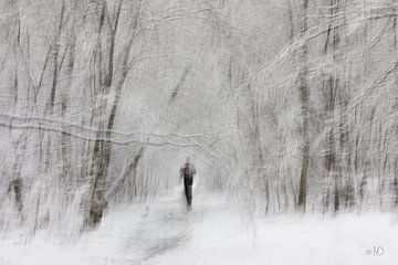 Loper in Winters Ertbrugge bos van Ingrid Van Damme fotografie
