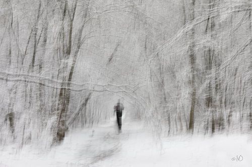 Loper in Winters Ertbrugge bos