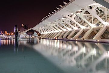 Architectuur Stad van de kunsten en wetenschap Valencia van Déwy de Wit