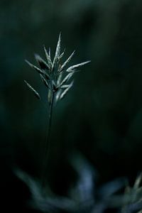 Stille Dunkelheit