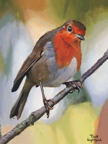 Peinture Robin