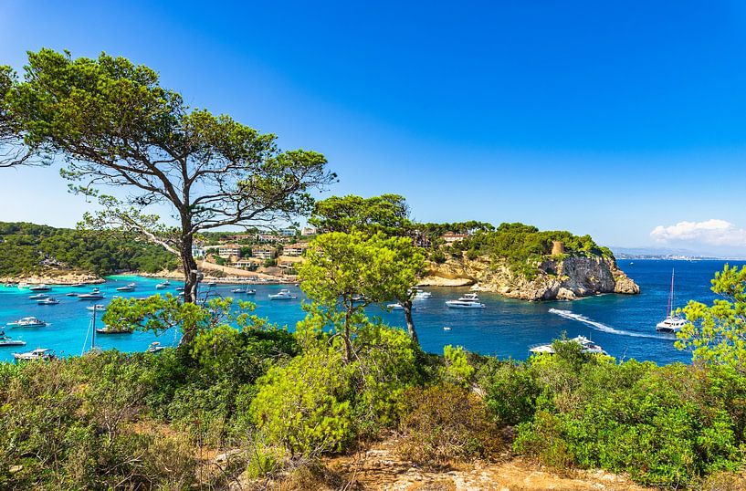 Mediterraan landschap baai met boten jachten bij Portals Vells van Alex Winter