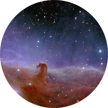 The Horsehead Nebula (De Paardenkopnevel) van NASA and Space