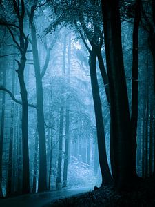 Naar het licht - blauw