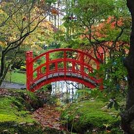 De Japanse tuin op landgoed Clingendael van Wilco Berga