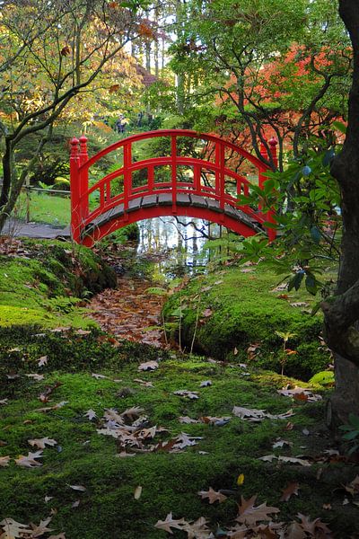 De Japanse tuin op landgoed Clingendael par Wilco Berga