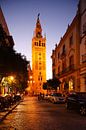 Sevilla : Kathedraal met Giralda van Torsten Krüger thumbnail
