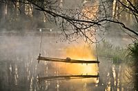 Sorgue zen 1