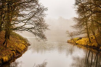 Mistige middag in Vogelenzang
