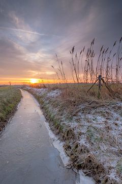 Bevroren sloot van Moetwil en van Dijk - Fotografie