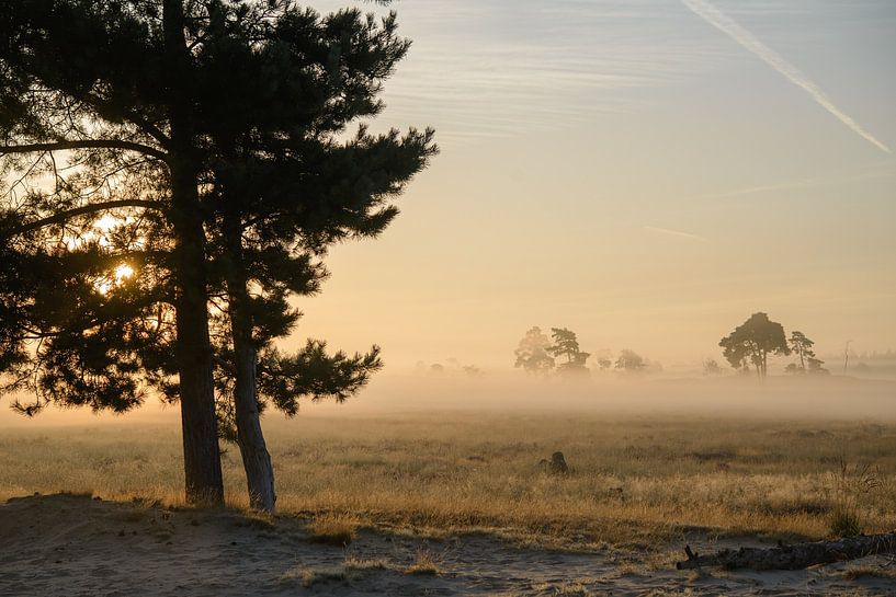 Lever de soleil dans les dunes par Evelien IJpelaar